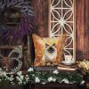 Himalayan Cat in Fall Leaves Throw Pillow Machine Washable, Indoor Outdoor Decorative Pillow for Couch, Bed or Patio, 18Hx18W